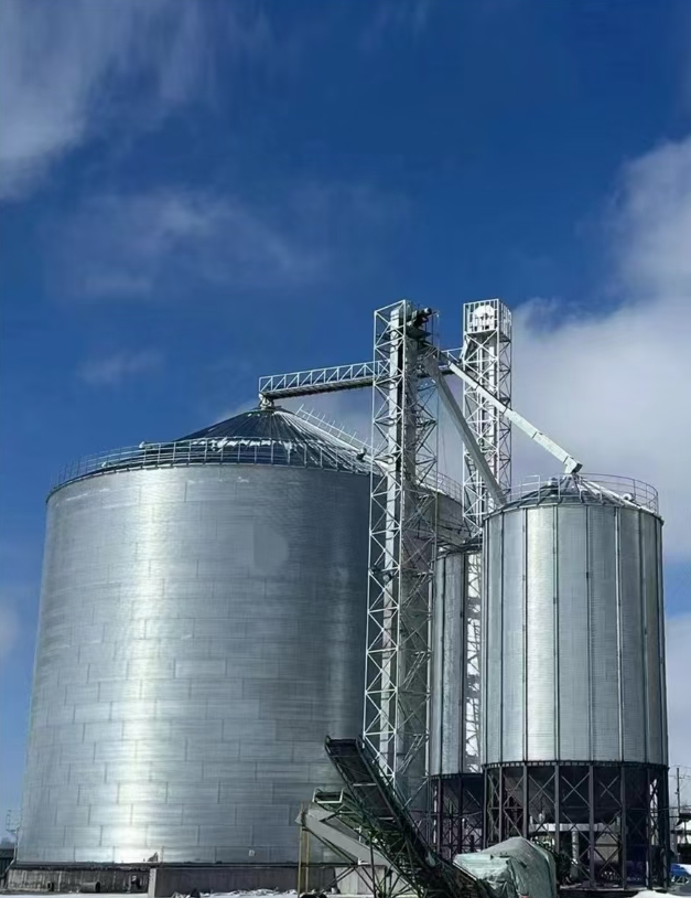 新疆昌吉面粉廠倉(cāng)儲(chǔ)項(xiàng)目