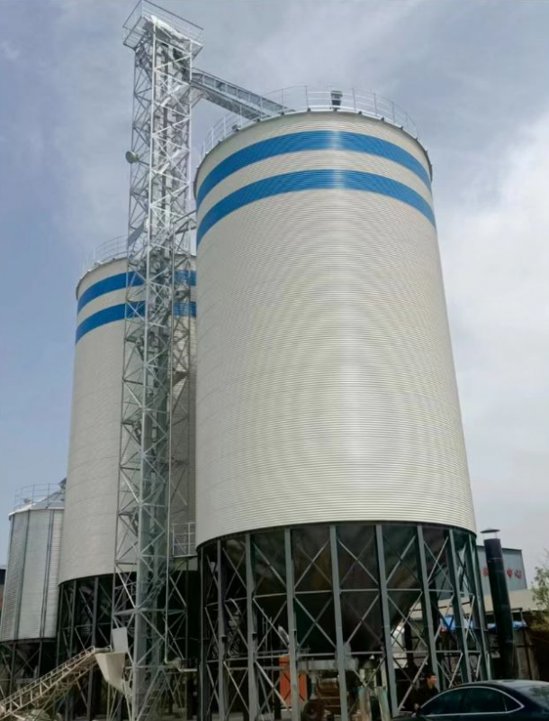 安徽壽縣正陽(yáng)米廠倉(cāng)儲(chǔ)項(xiàng)目