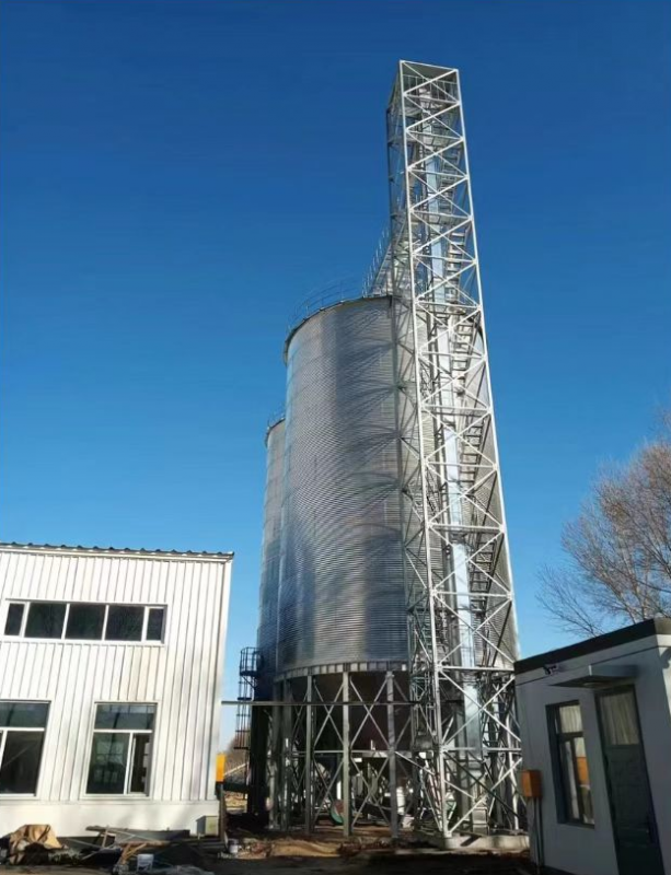 四川古闌縣高梁倉(cāng)儲(chǔ)項(xiàng)目